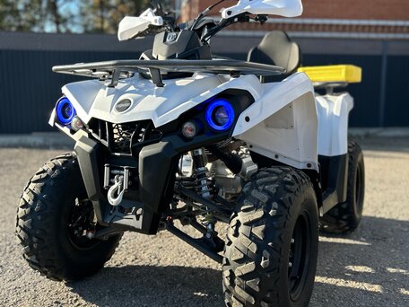 2023 Motax Grizlik 200, белый, 219000 рублей, вид 1