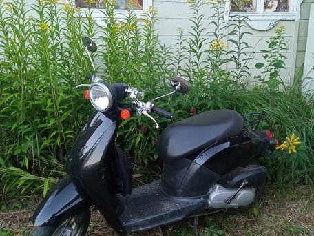 2005 Honda Today, чёрный, 90000 рублей, вид 1