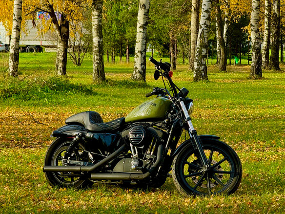 2019 Harley-Davidson Sportster 1200, чёрный, 1099000 рублей - вид 8