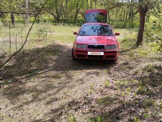 2001 Skoda Octavia I (A4) Рестайлинг, красный, 350000 рублей, вид 4