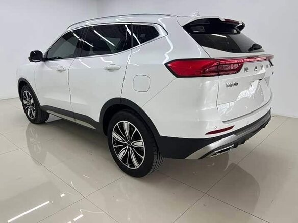 2023 Haval H6 III, белый, 1560000 рублей - вид 5