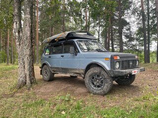 2009 Lada (ВАЗ) 2131 (4x4) I, серебристый, 520000 рублей, вид 2