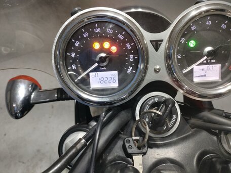 2016 Triumph Bonneville T100, белый, 765000 рублей, вид 5