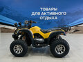 2026 Raptor MAX PRO 250, жёлтый, 207900 рублей - вид 1