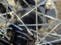 2016 Harley-Davidson Softail Slim, чёрный, 1450000 рублей - вид 10