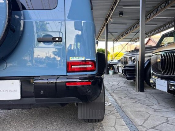 2021 Mercedes-Benz G-Класс 400 d III (W463), голубой, 11700000 рублей - вид 17