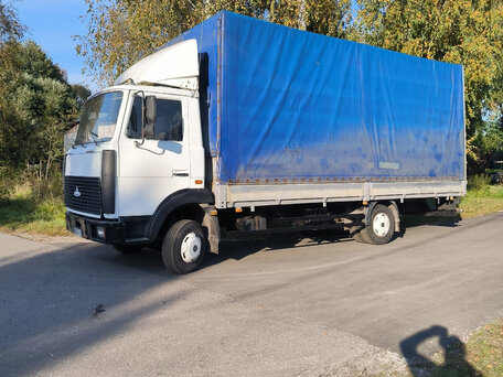 2006 МАЗ 4370, белый, 450000 рублей, вид 5