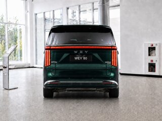 2025 Wey 80 Premium 37.96 kWh, зелёный, 7199000 рублей, вид 3