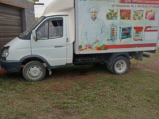 2007 ГАЗ ГАЗель (3302), белый, 610000 рублей, вид 2