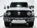 2026 Tank 300 I, серый, 4799000 рублей - вид 1