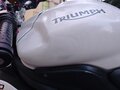 2011 Triumph Speed Triple, белый, 650000 рублей - вид 7