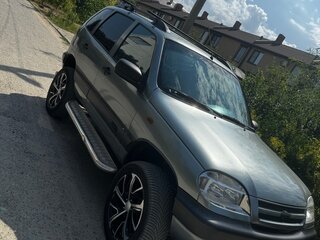 2006 Chevrolet Niva I, серебристый, 500000 рублей, вид 1