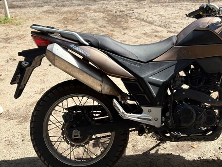 2019 Racer Panther, коричневый, 145000 рублей, вид 3
