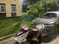 2021 Irbis Grace, красный, 75000 рублей