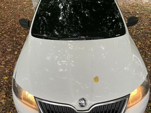 2016 Skoda Rapid I, белый, 595000 рублей - вид 7