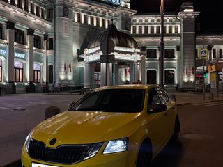 2019 Skoda Octavia III (A7) Рестайлинг, серый, 1800000 рублей, вид 1