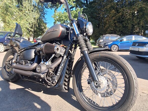 2018 Harley-Davidson Softail Standard, серый, 1016466 рублей - вид 3