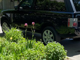 2006 Land Rover Range Rover III Рестайлинг, чёрный, 1400000 рублей, вид 5