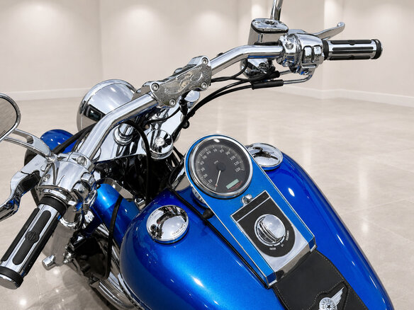 2005 Harley-Davidson Softail Standard, синий, 870000 рублей - вид 13