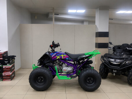 2026 BSE XT-1, фиолетовый, 112200 рублей, вид 2