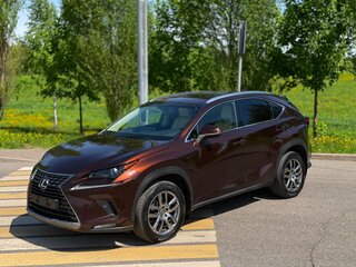 2018 Lexus NX 300 I Рестайлинг, коричневый, 3300000 рублей, вид 1