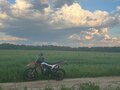 2024 Regulmoto CR-Z 300, чёрный, 225000 рублей - вид 1