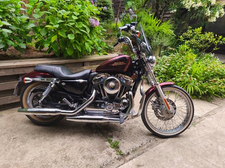 2012 Harley-Davidson XL1200, пурпурный, 920000 рублей, вид 2
