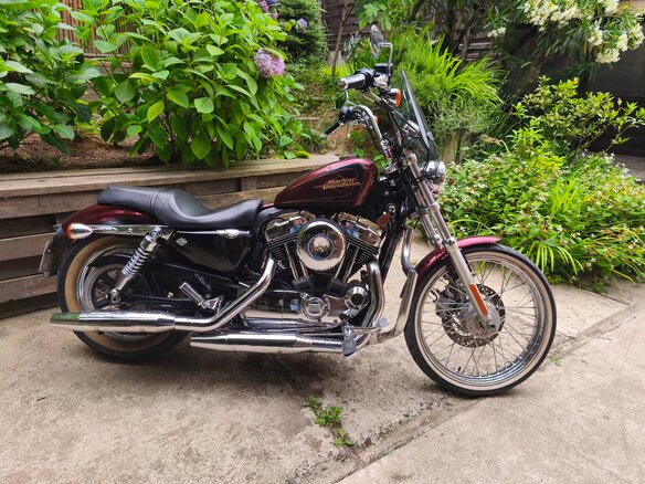 2012 Harley-Davidson XL1200, пурпурный, 920000 рублей - вид 1