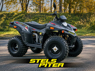 2026 Stels ATV-200 Леопард, серый, 260000 рублей, вид 1