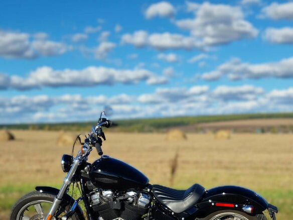 2022 Harley-Davidson Softail Standard, чёрный, 1250000 рублей