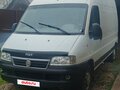 2010 Fiat Professional Ducato, белый, 900000 рублей
