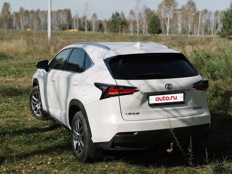 2015 Lexus NX 200 I, белый, 2590000 рублей, вид 5