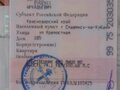 2012 ЗАЗ Chance, золотистый, 420000 рублей - вид 10