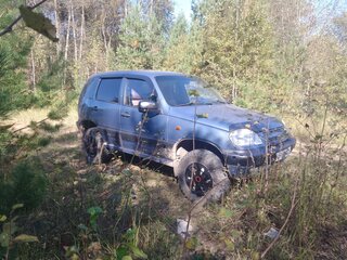 2008 Chevrolet Niva I, серый, 385000 рублей, вид 3