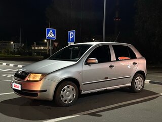 2004 Skoda Fabia I Рестайлинг, серебристый, 250000 рублей, вид 1