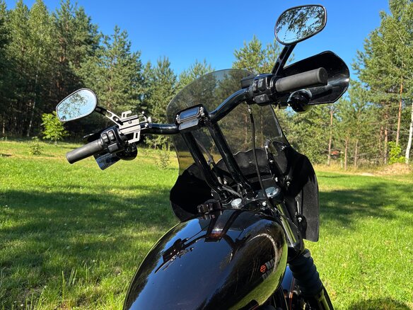2019 Harley-Davidson Softail Custom, коричневый, 971000 рублей - вид 2