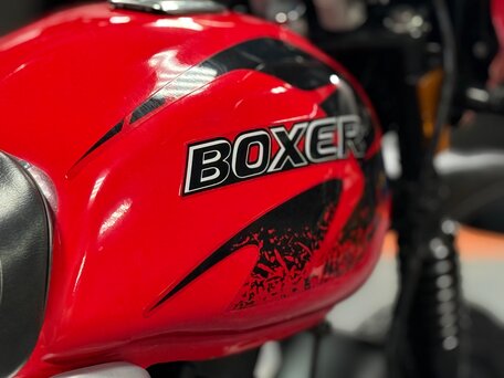2023 Bajaj Boxer BM 150X, красный, 115000 рублей, вид 5