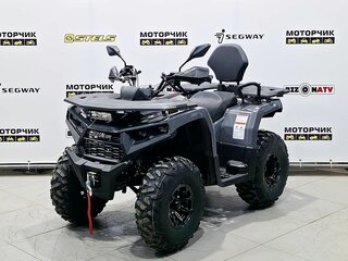 2026 Bizon YK250 LUX EFI, серый, 255000 рублей, вид 1
