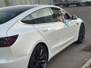 2020 Tesla Model 3 Standart Plus I, белый, 2880000 рублей, вид 4
