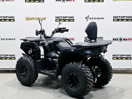 2026 Bizon YK250 LUX EFI, чёрный, 255000 рублей, вид 3
