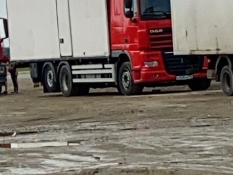 2009 DAF XF 105, красный, 4550000 рублей, вид 1