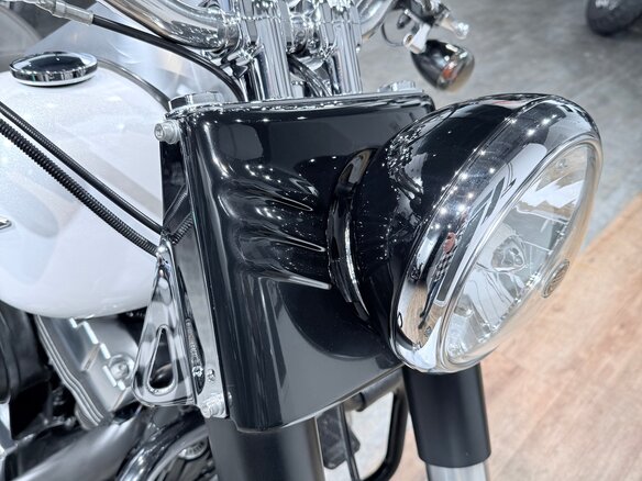 2011 Harley-Davidson Fat Boy, белый, 1399000 рублей - вид 20
