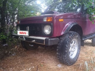 1996 Lada (ВАЗ) 2121 (4x4) I Рестайлинг, красный, 400000 рублей, вид 3
