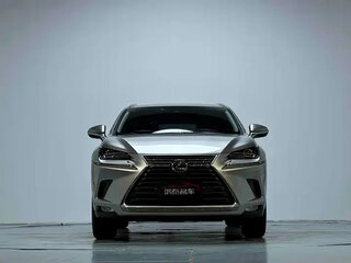 2020 Lexus NX 200 I Рестайлинг, серый, 2173000 рублей, вид 3