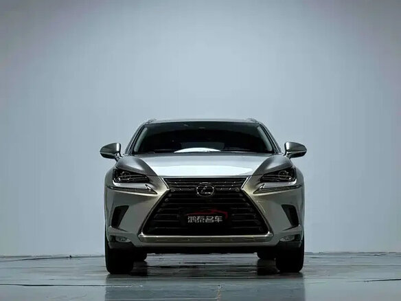 2020 Lexus NX 200 I Рестайлинг, серый - вид 2