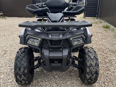 2021 Wild Panther 8x8, серый, 150000 рублей, вид 1