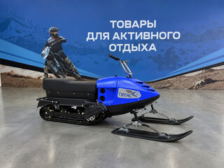 2026 Другие Снегоходы (другие), синий, 142800 рублей, вид 3