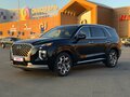 2022 Hyundai Palisade I, чёрный, 5740000 рублей - вид 8