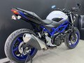 2019 Suzuki SV 650, белый, 565000 рублей