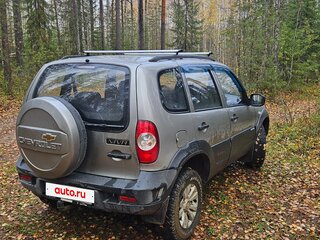 2011 Chevrolet Niva I Рестайлинг, серый, 550000 рублей, вид 4